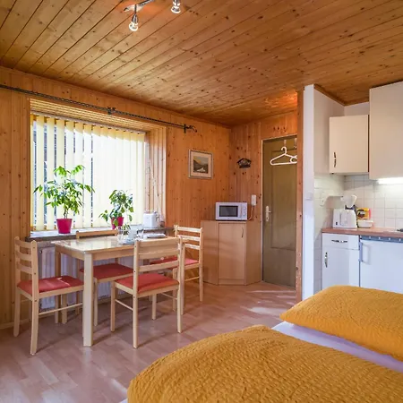 Apartmán Rene Zentrales - By Nv-appartements Kirchberg in Tirol